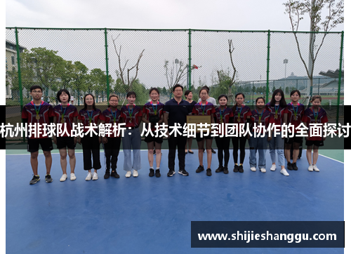 杭州排球队战术解析：从技术细节到团队协作的全面探讨