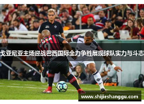 戈亚尼亚主场迎战巴西国际全力争胜展现球队实力与斗志