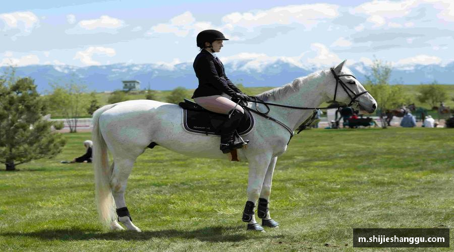 米兰·(milan)中国官方网站💻🎯 无插件直播，画质堪比现场！